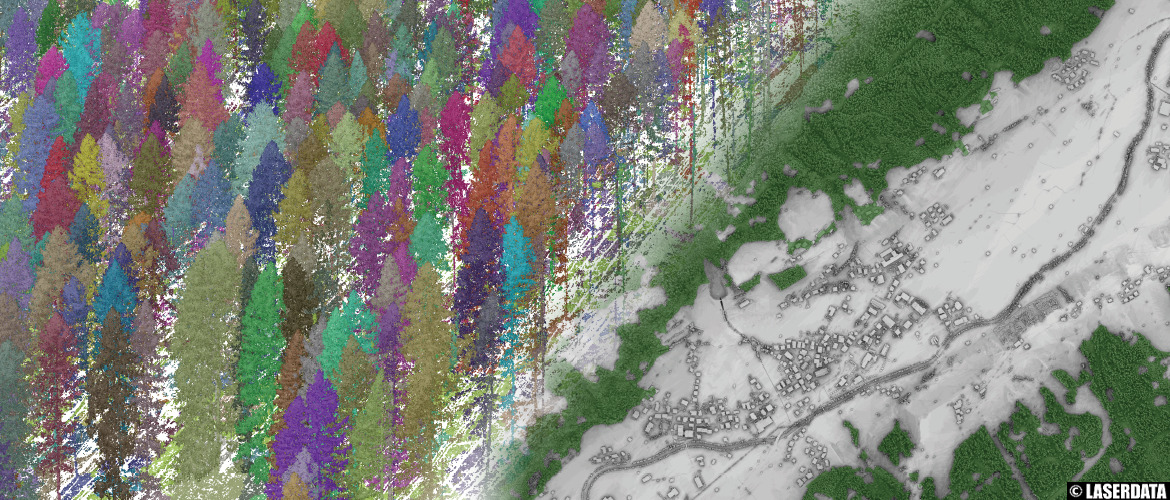 Vegetation mapping: single tree delineation and forest mask from ALS point cloud data