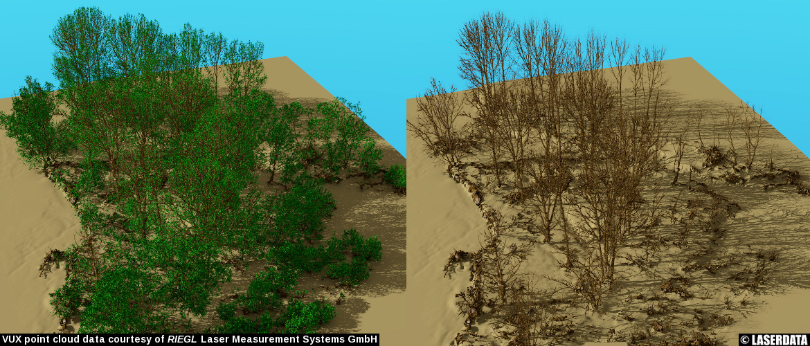 Reconstructed tree models (leaf on/off) from point cloud data
